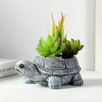 Turtle Planter