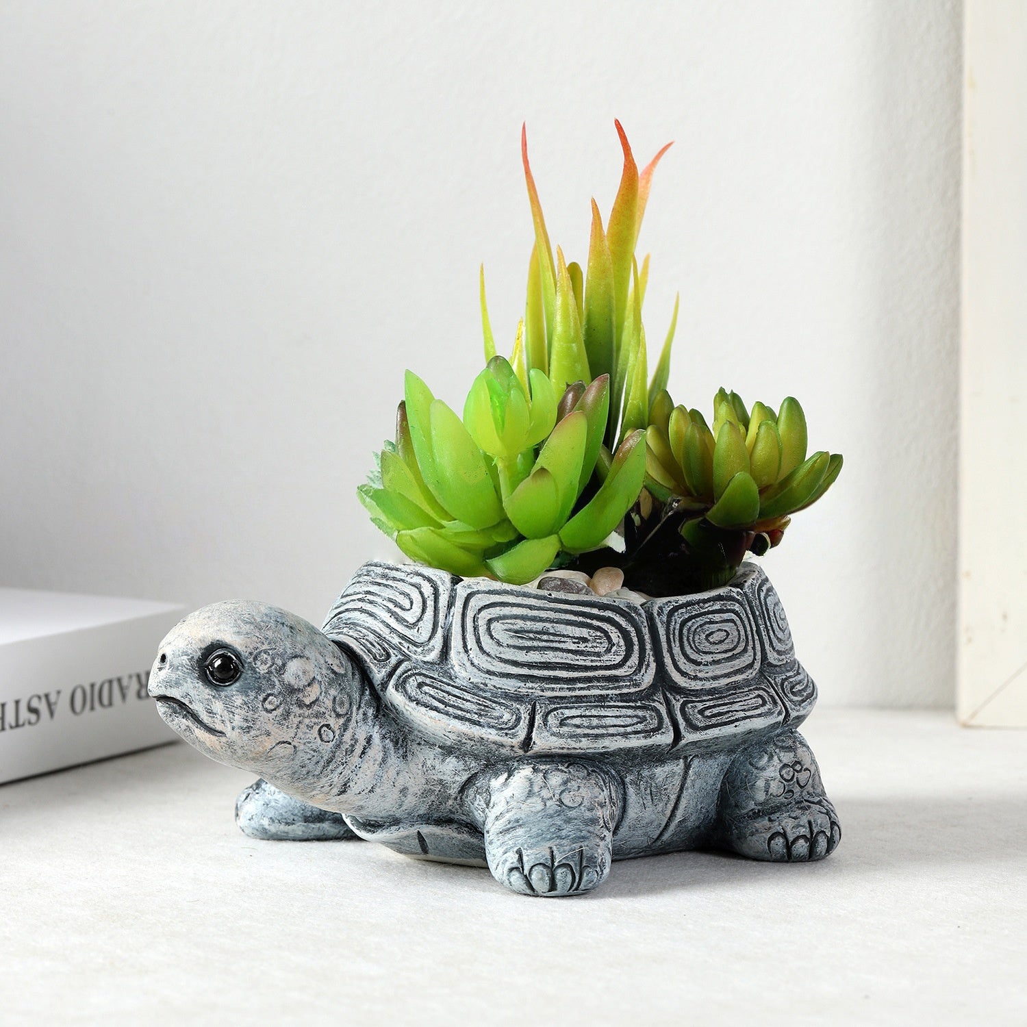 Turtle Planter